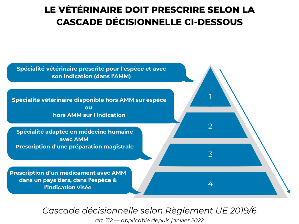 La Cascade Décisionnelle